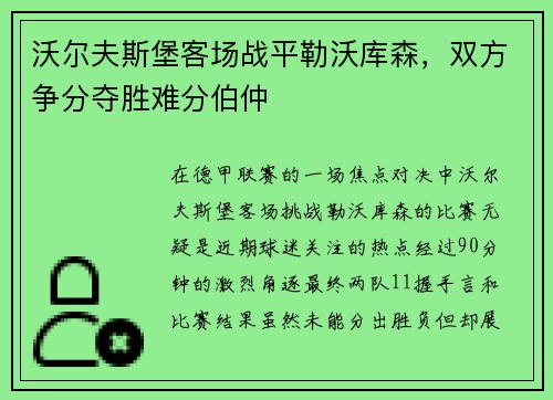 沃尔夫斯堡客场战平勒沃库森，双方争分夺胜难分伯仲